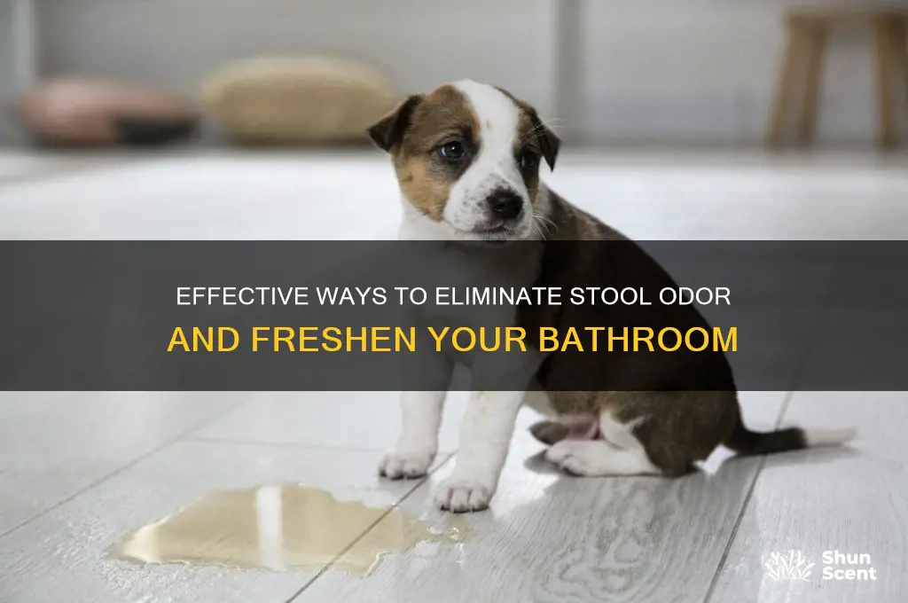how to get rid of stool odor