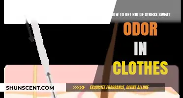 Eliminate Stress Sweat Odor: Freshen Your Clothes with These Tips