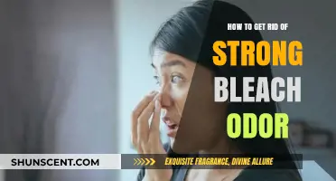 Effective Ways to Eliminate Strong Bleach Odor from Your Space
