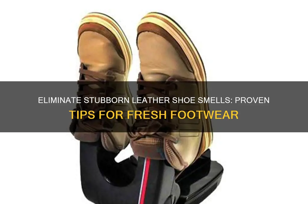 how to get rid of strong leather shoe odor
