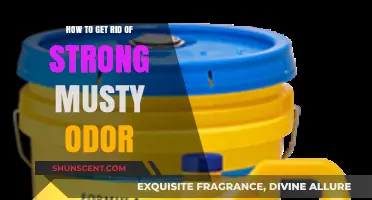 Eliminate Stubborn Musty Smells: Proven Tips for Freshening Your Space
