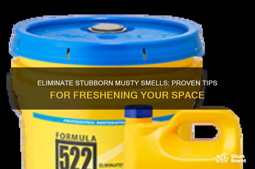 how to get rid of strong musty odor