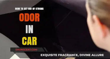 Eliminate Stubborn Car Odors: Proven Tips for a Fresh Interior