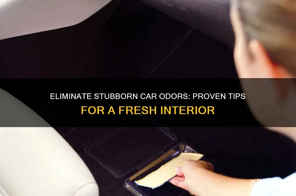 how to get rid of strong odor in car
