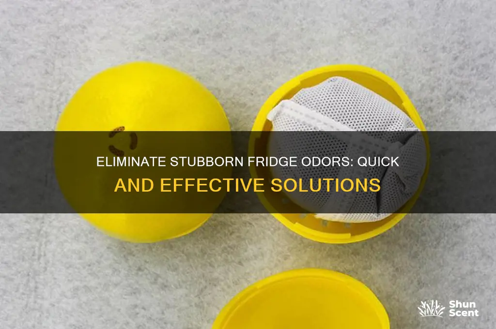 how to get rid of strong odor in refrigerator