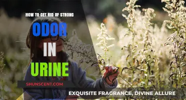 Effective Ways to Eliminate Strong Urine Odor Naturally and Fast