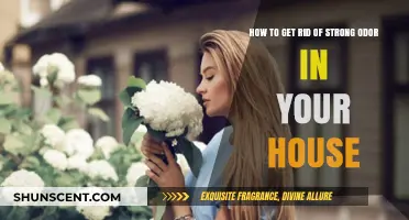 Eliminate Stubborn House Odors: Proven Tips for a Fresh Home