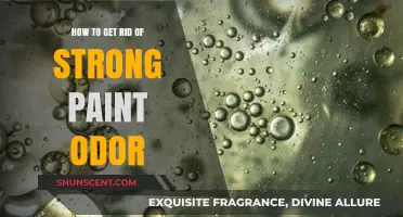 Effective Ways to Eliminate Strong Paint Odor Quickly and Safely
