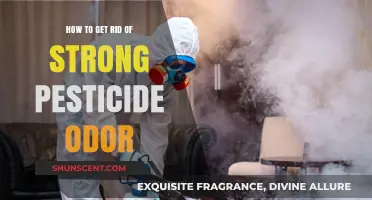 Effective Ways to Eliminate Persistent Pesticide Odors from Your Home