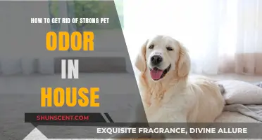 Eliminate Stubborn Pet Odors: Freshen Your Home Effectively and Fast