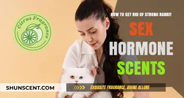Eliminate Rabbit Sex Hormone Scents: Effective Tips for a Fresh Home