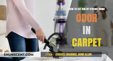 Eliminate Stubborn Urine Smells: Effective Carpet Odor Removal Tips
