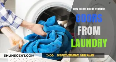 Eliminate Stubborn Laundry Odors: Proven Tips for Fresh-Smelling Clothes