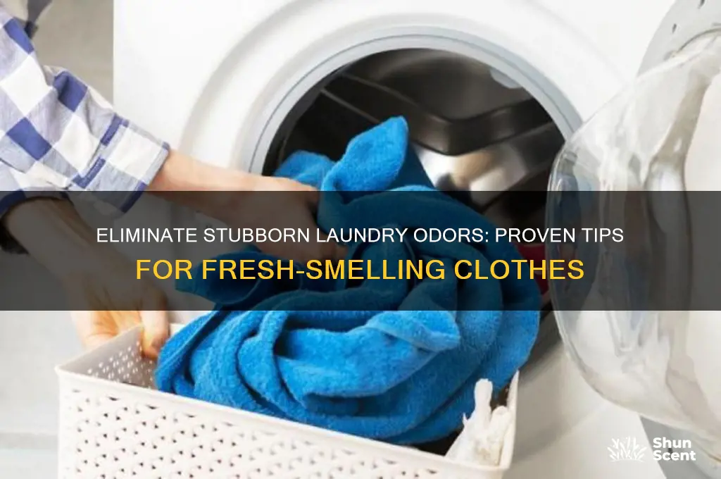 how to get rid of stubbor odors from laundry