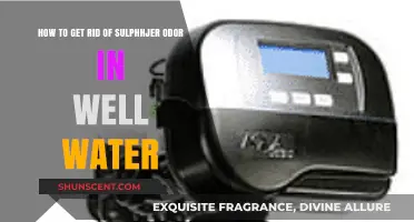 Eliminate Sulfur Smell: Effective Solutions for Well Water Odor Removal
