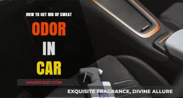 Eliminate Car Sweat Odor: Quick Tips for a Fresh Interior