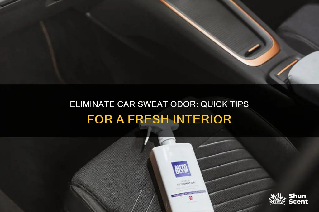 how to get rid of sweat odor in car