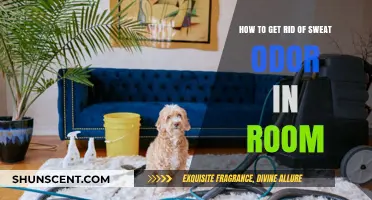 Eliminate Room Sweat Odor: Quick Tips for Fresh Indoor Air