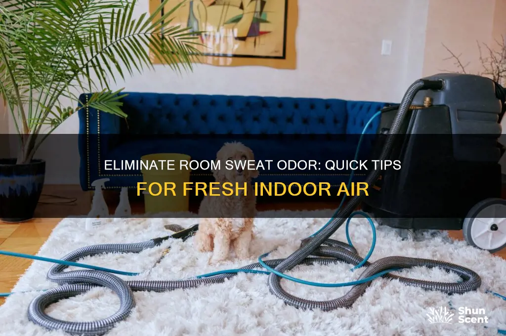 how to get rid of sweat odor in room