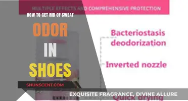 Eliminate Shoe Sweat Odor: Quick Tips for Fresh Footwear