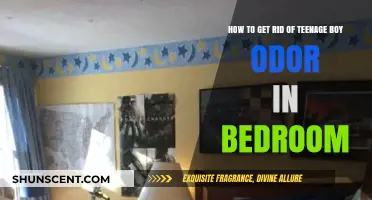 Freshen Up: Eliminating Teenage Boy Bedroom Odors Effectively