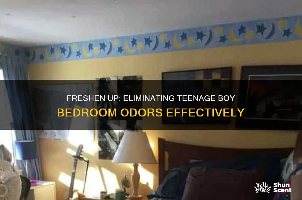 how to get rid of teenage boy odor in bedroom