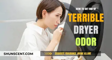 Eliminate Nasty Dryer Smells: Quick Fixes for Fresh Laundry