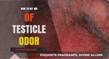 Effective Tips to Eliminate Testicle Odor and Stay Fresh Daily