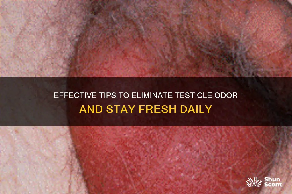 how to get rid of testicle odor