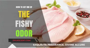 Eliminate Fishy Smells: Proven Tips to Freshen Your Space Fast