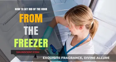 Eliminate Freezer Odors: Quick Tips for a Fresh-Smelling Appliance