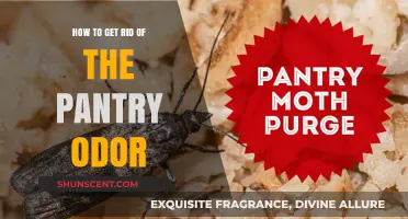 Eliminate Pantry Odors: Freshen Your Storage with Simple, Effective Tips