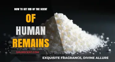 Effective Methods to Eliminate the Odor of Human Remains Safely
