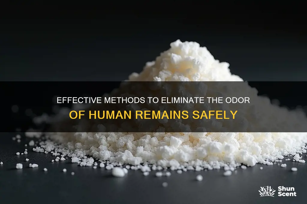how to get rid of the scent of human remains