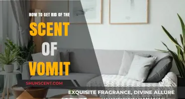 Effective Ways to Eliminate Lingering Vomit Smells Quickly and Easily