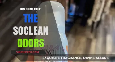 Eliminate SoClean Odors: Proven Tips for Fresh, Clean Air