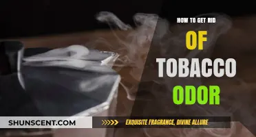 Eliminate Tobacco Smell: Effective Tips to Freshen Your Space Fast