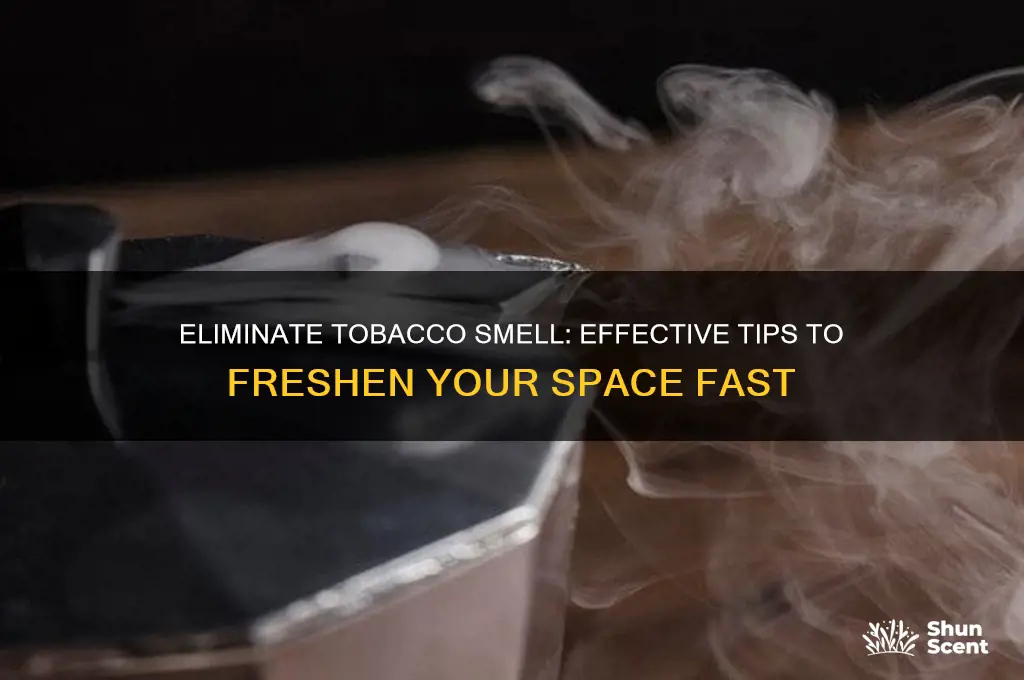 how to get rid of tobacco odor