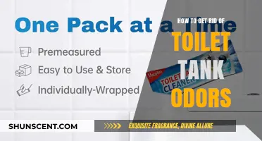 Eliminate Toilet Tank Odors: Simple Steps for a Fresh Bathroom