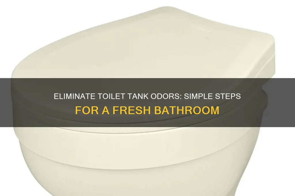 how to get rid of toilet tank odors