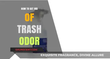 Eliminate Trash Odor: Quick Tips for a Fresh-Smelling Home