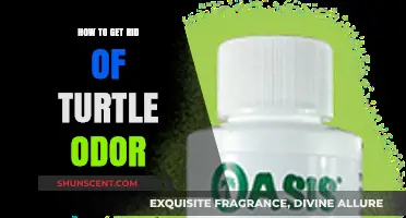 Eliminate Turtle Odor: Effective Tips for a Fresh-Smelling Habitat