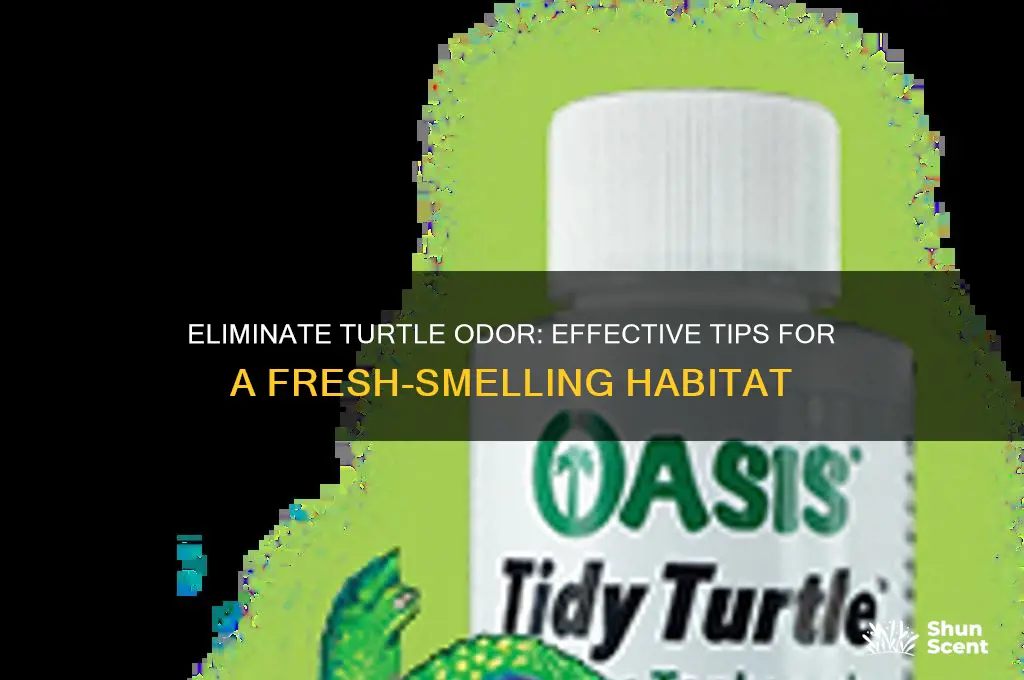 how to get rid of turtle odor