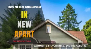 Freshen Up Your New Home: A Guide to Eliminating Unpleasant Odors