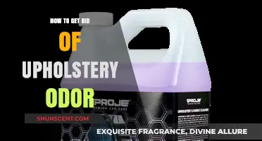 Freshen Up Your Furniture: A Guide to Eliminating Upholstery Odors