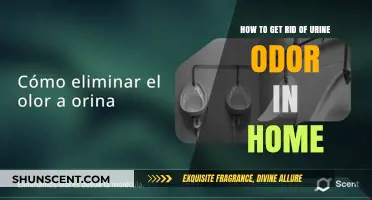 Freshen Up Your Home: A Guide to Eliminating Urine Odor