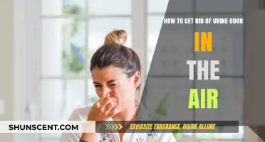 Freshen Up: Effective Ways to Eliminate Urine Odor from the Air