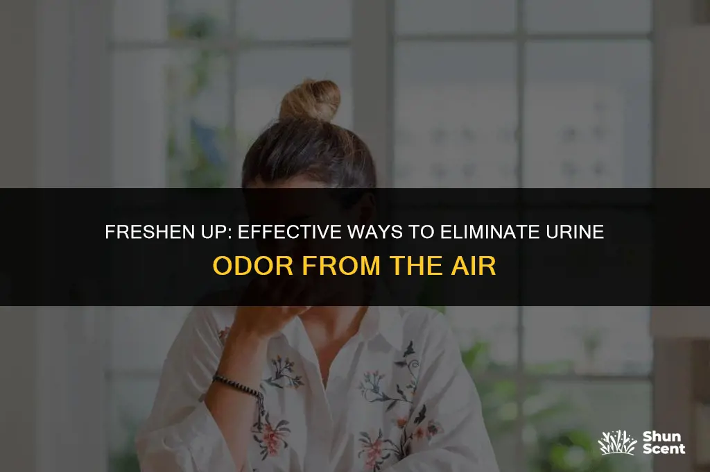 how to get rid of urine odor in the air