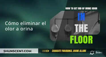 Eliminating Lingering Urine Odors: A Comprehensive Guide for Fresh Floors