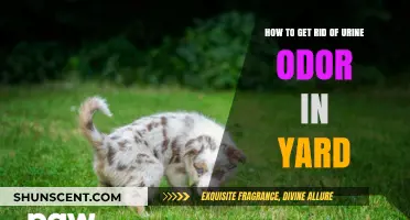 Eliminate Urine Odor in Your Yard: A Comprehensive Guide